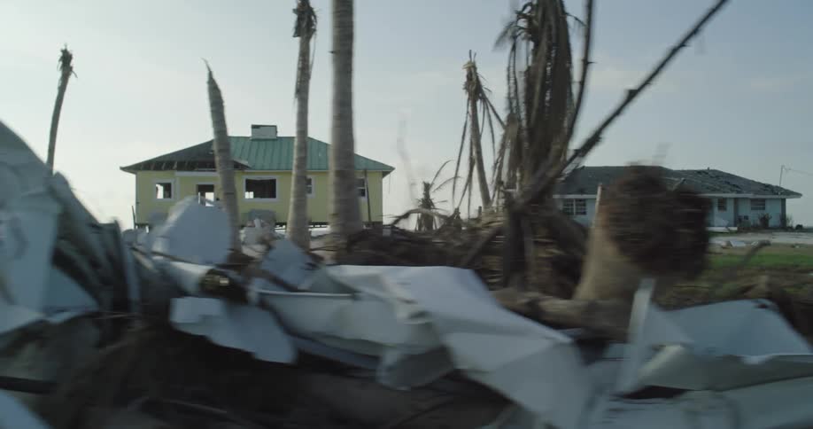 Abandoned houses on the shore with wreckage in the front lawn and trees torn apart