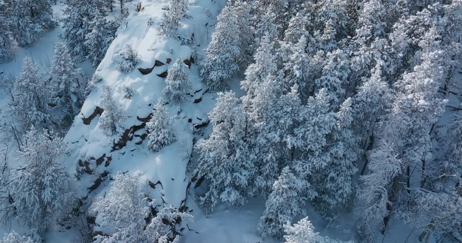 Birds eye view of an arctic area is displayed