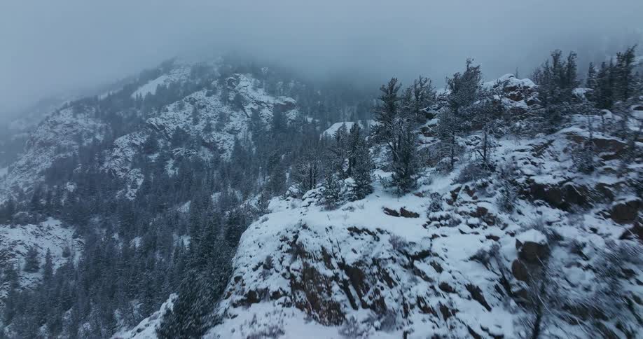 Snow covered forested mountains high in a foggy sky