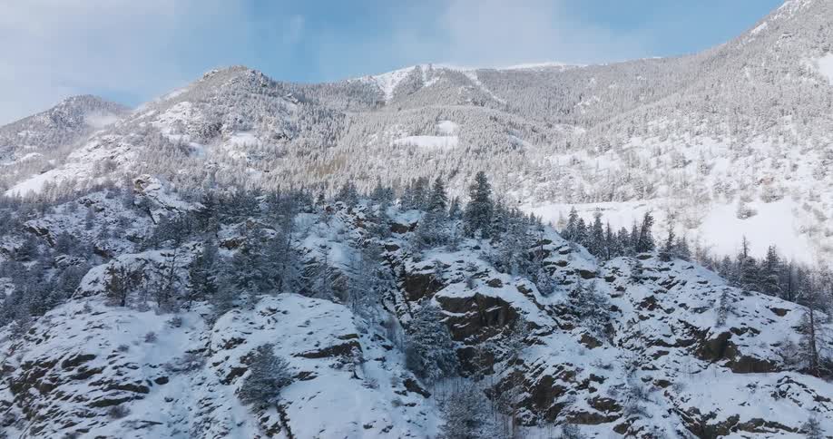 Snow covered trees and forested mountains under a cloudy sky