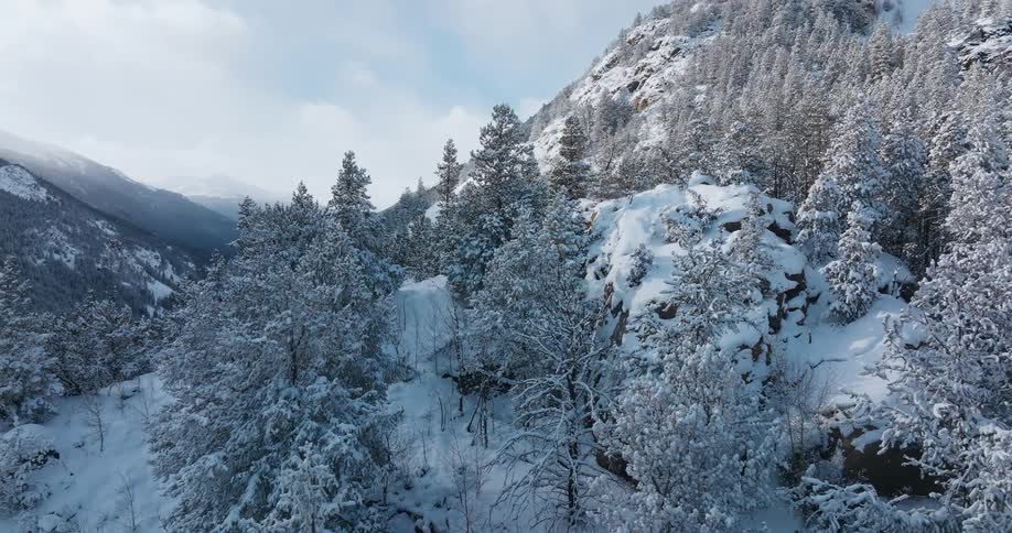 Snow covered trees and mountains under a cloudy sky
