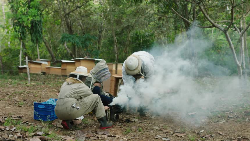 Beekeepers in front of bee hives makings lots of smoke
