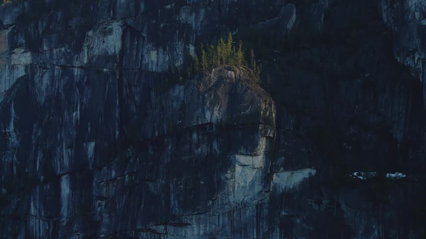 Sunlight highlights conifer trees and the cliff side ledge they sit on