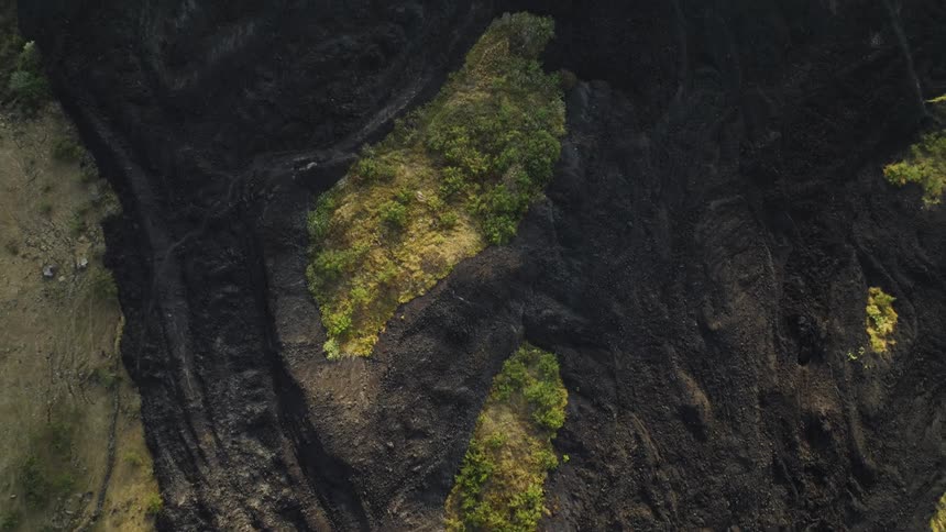 Dark textured surface reveals glimpses of vegetation