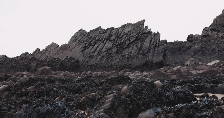 Volcanic ash covers the ground surrounding a mountain peak