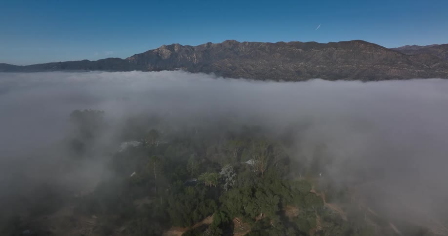Mist obscures a forested countryside under a clear daytime sky