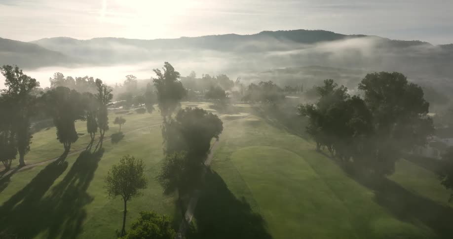 Trees can be seen through the thick fog as the sun shines brightly in the sky and there are mountains in the distance