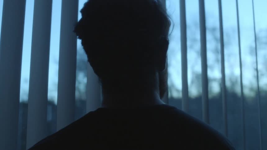A bearded man stands in front of a large window while looking at the trees outside