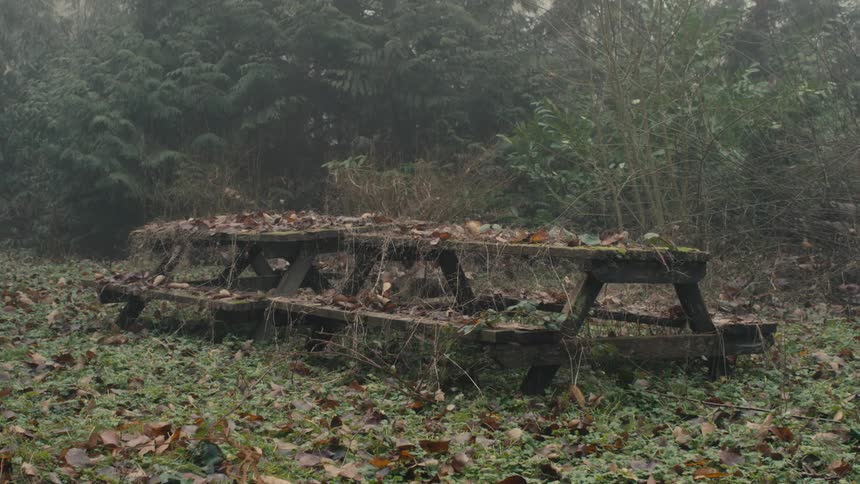 A view of some tables out in the forest