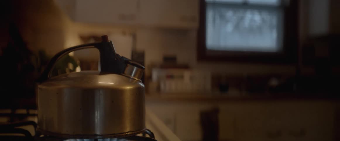 A kettle is boiling on the stove