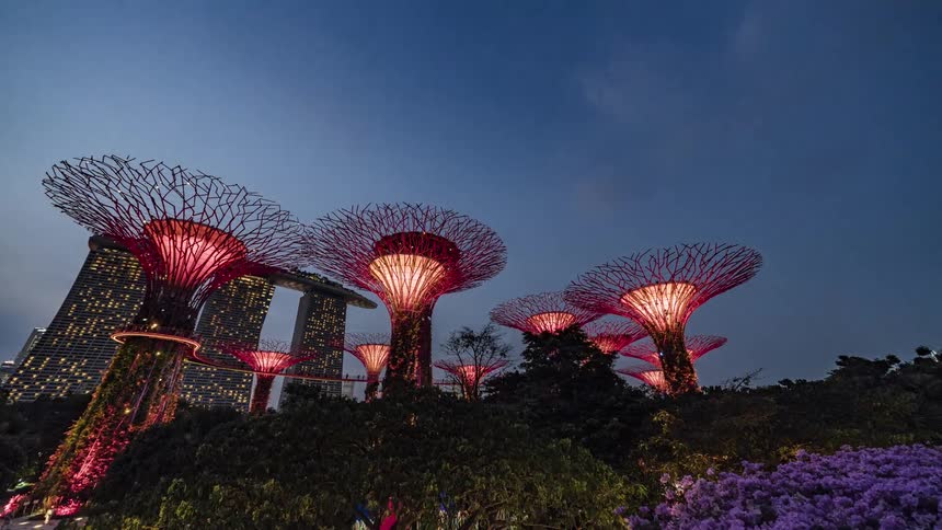 Large crowds mill about a botanical garden with tall trees and attractions