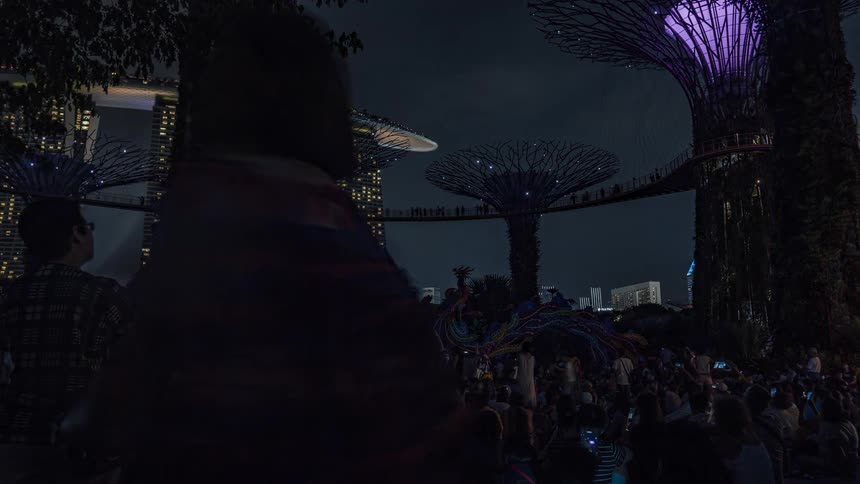 A large crowd gathers to watch a light show in a botanical garden
