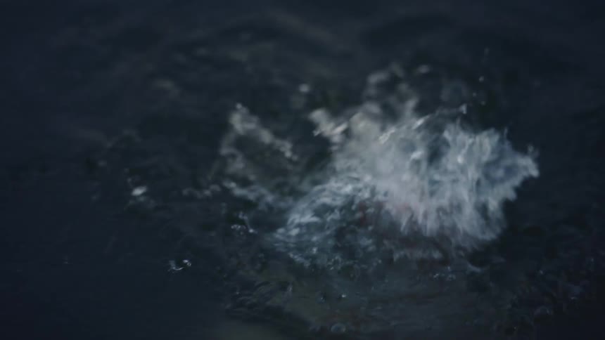 A man swims under water