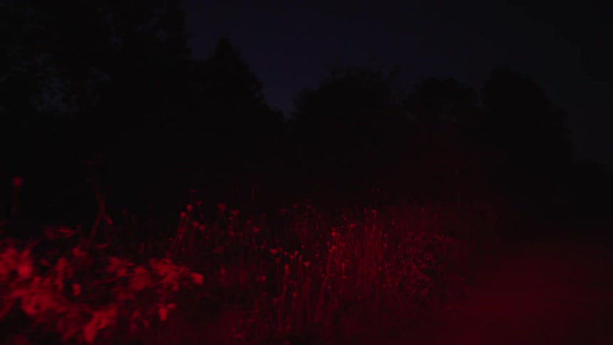 Vehicle drives on country road at night