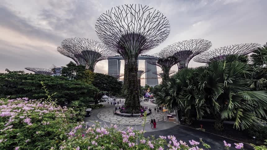 Time lapse of pedestrians walking around the super tree grove on marina gardens in singapore