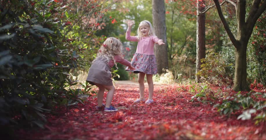 Two adorable sisters play in the fall leaves