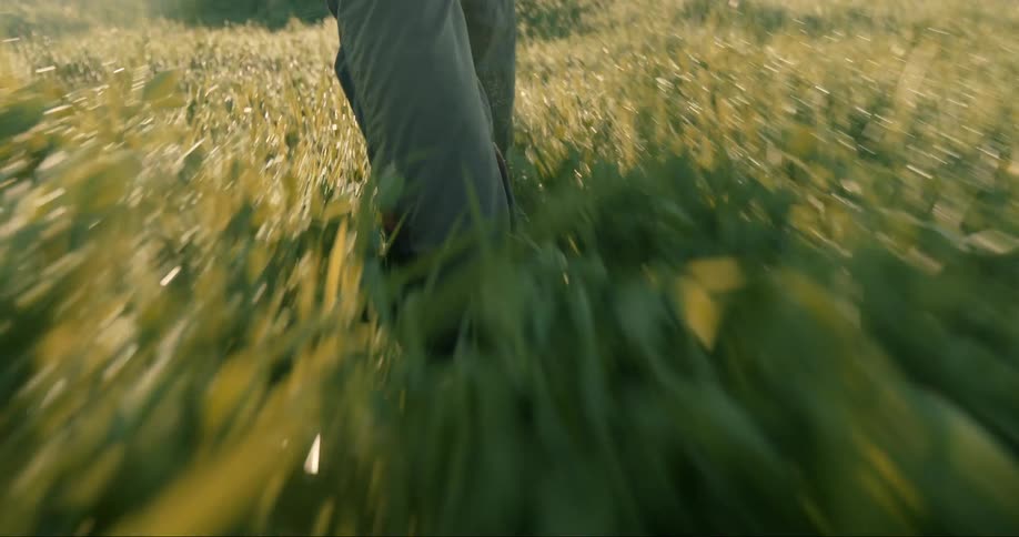 A person walking on the green grass in the countryside at morning