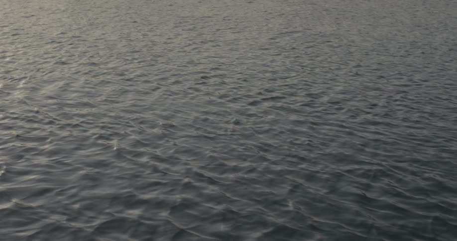 Gentle waves ripple through the sea