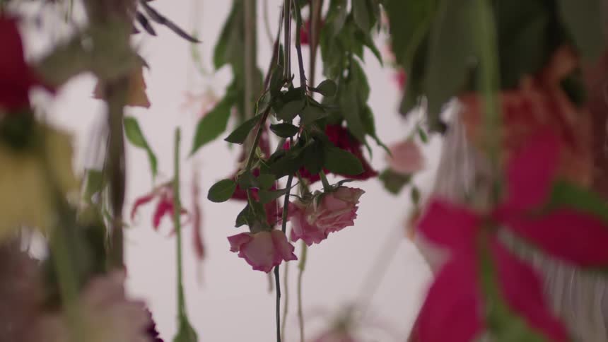 Person touching some hanging flowers