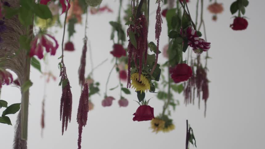 Vines hang with flowers on the tips