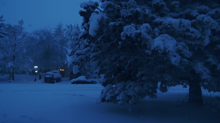 Snow covers the ground and the trees and the vehicles outdoors in the winter