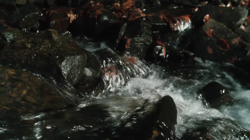 Water rushes over large rocks on a river bank