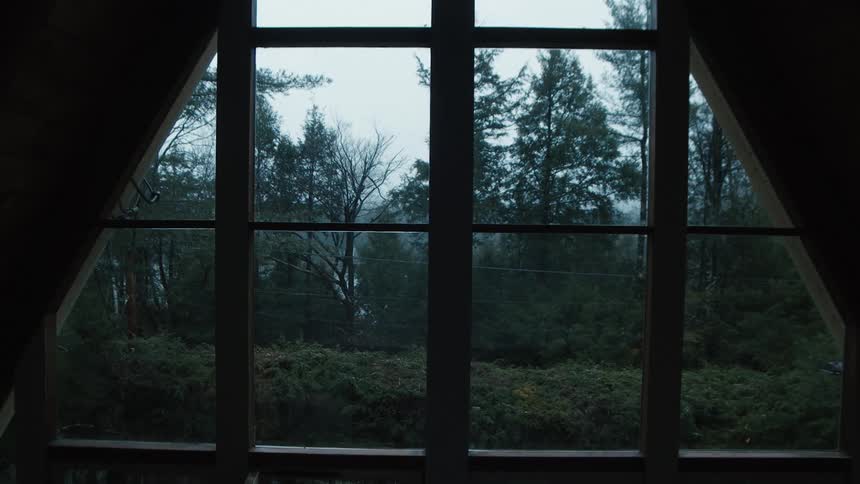Gable window overlooking backyard with trees swaying in light wind