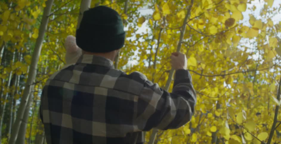 A father is outdoors looking at trees with his child