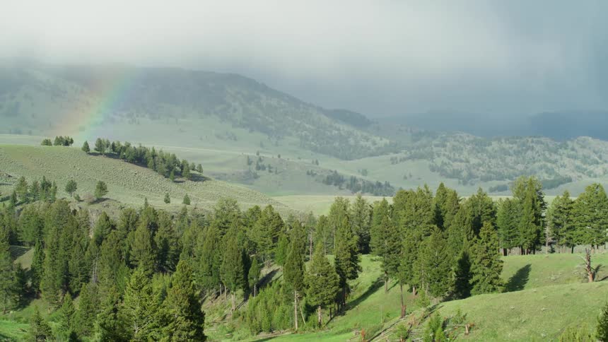 A rainbow in a mountain forest on a cloudy day