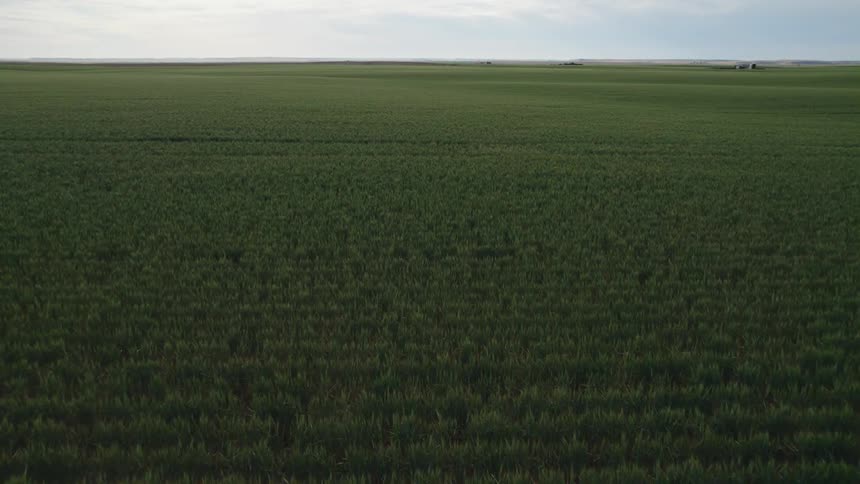 Aerial view of large green farmland