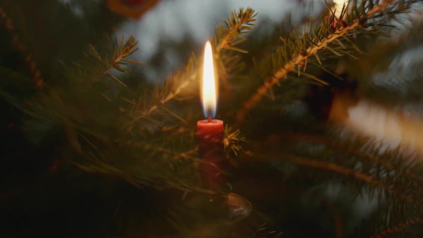 A burning candle sits on pine tree