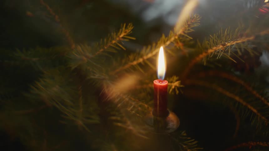 A candle is lit and near a pine tree