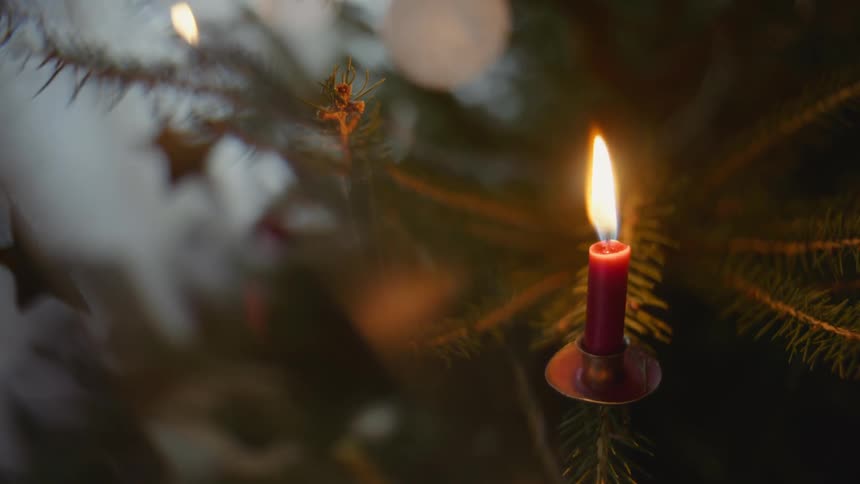 A red candle is on a tree branch and the flame is waving in the wind