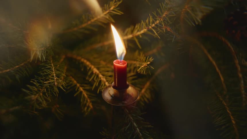 A candle flickers while atop a tree branch
