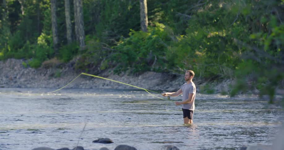 Fishing man wearing shorts and standing in the river casts his line with forest covered bank in the background