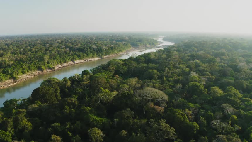 An aerial view of a river with trees