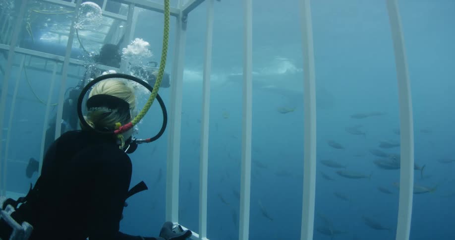 A diver is inside a cave watching the sea life