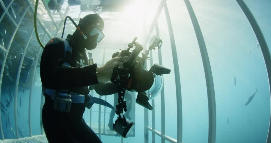 A scuba diver filming from a cage