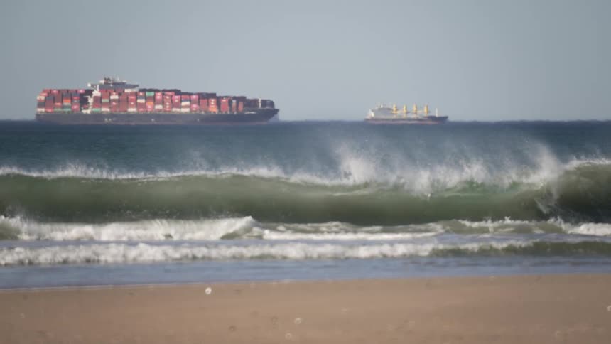 Surfers passing down the waves on the coast next to the ocean with cargo freighter ships on the horizon