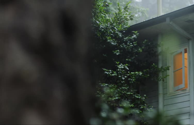 A tree outside a home with an open window