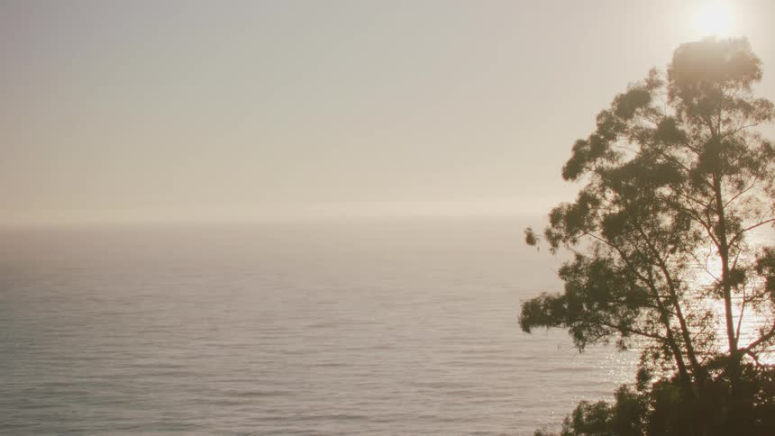 High cliff overlooking sea and sun going up behind tree