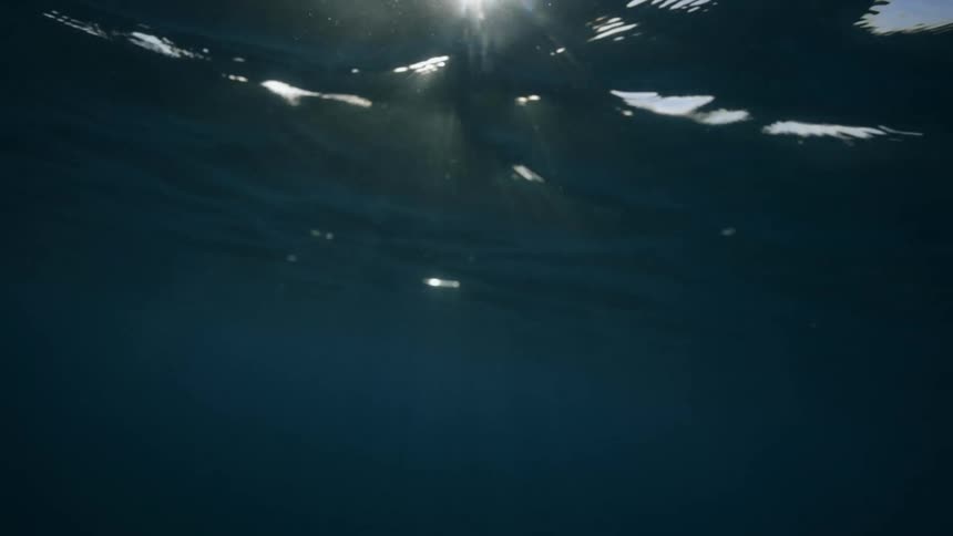 The sun is shining underwater