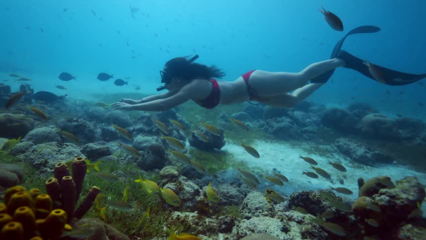 Woman swims underwater with snorkel red bikini and flippers