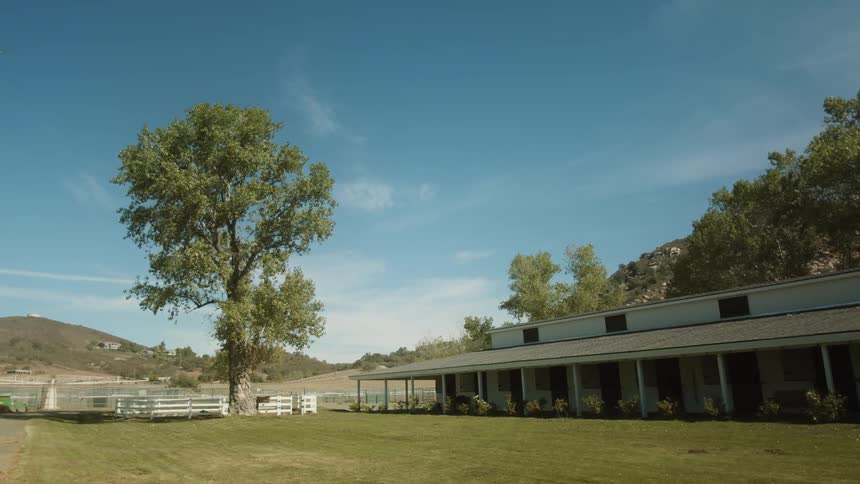 A yard of grass is displayed in a rural area