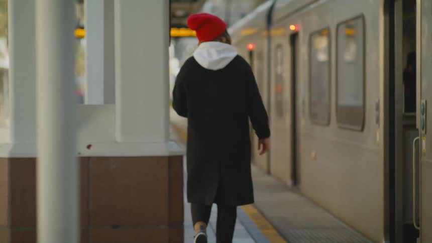 A person is walking past the parked train