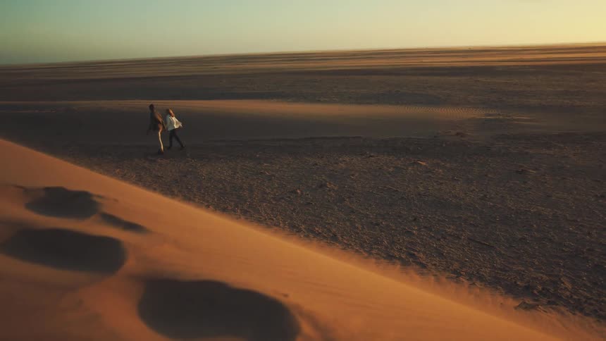 Two people walk through a windy desert landscape