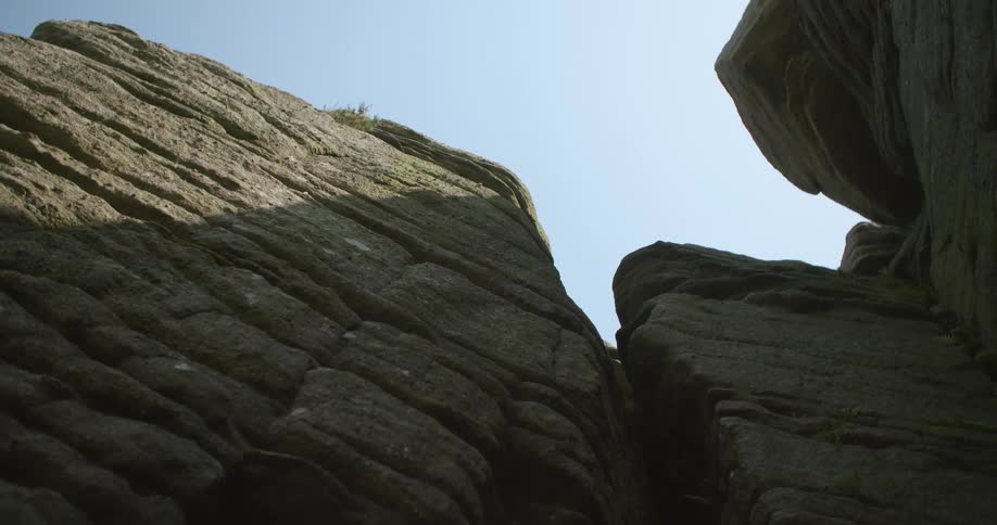 Vegetation grown near edge of cliff under a clear blue sky