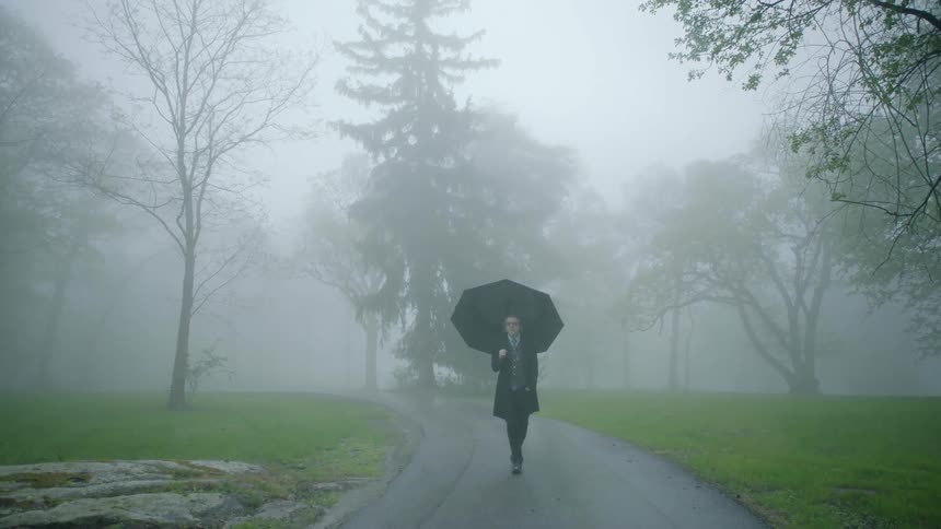 Man carrying umbrella walks through park on foggy day