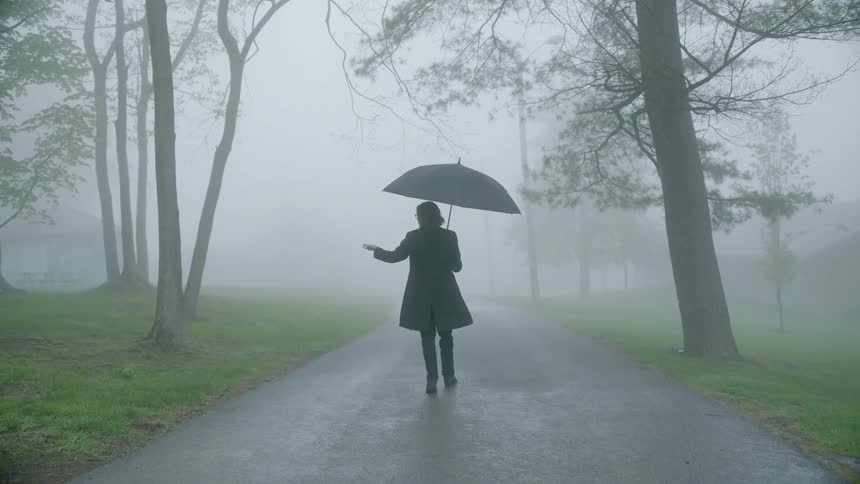 A man walking down a foggy path in the rain with an umbrella