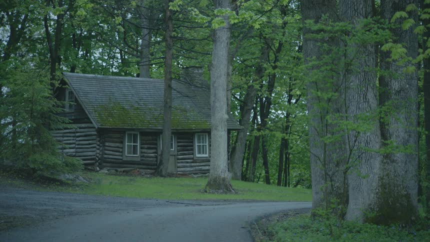 A log cabin sits among the trees near a country road